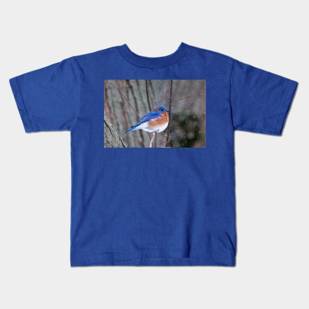 Eastern Bluebird Kids T-Shirt by FlyingLilly